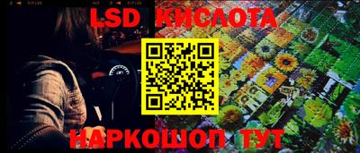 spice Владикавказ