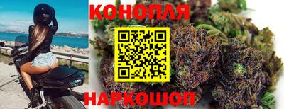 прущие крисы Владивосток