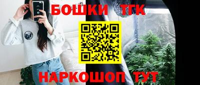 СК Владимир