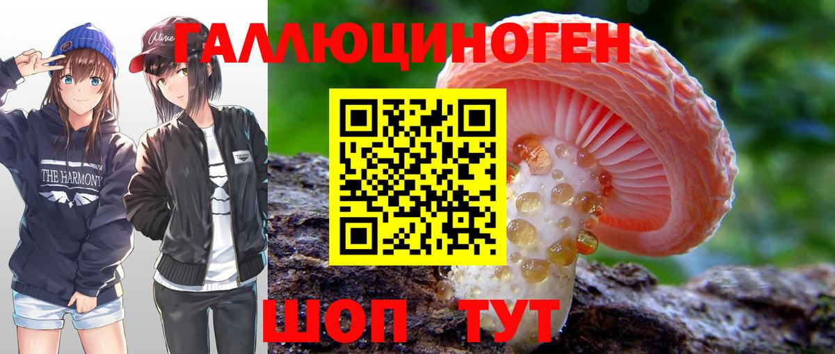 Псилоцибиновые грибы мицелий  наркотики  Новосибирск  Вход с VPN 