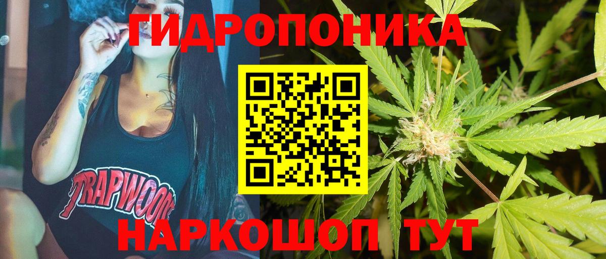 Новосибирск  Бошки Шишки конопля  Шишки марихуана MAZAR  Марихуана THC 21%  Вход с VPN  Марихуана Amnesia 
